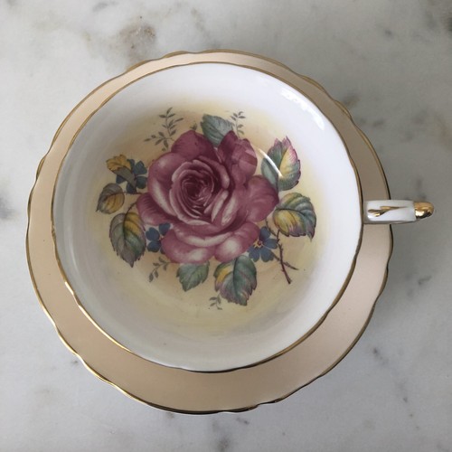 RARE PARAGON Pink Cabbage Rose Tea Cup & Saucer Soft Peach Double Warrant 1940 - Picture 4 of 15