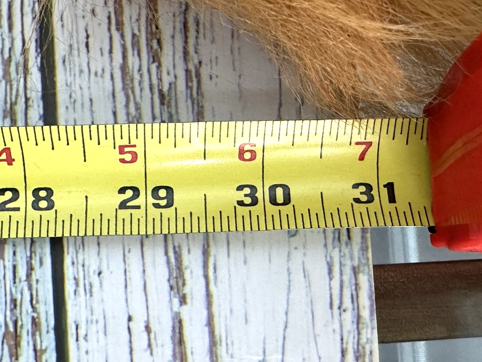 Picture 14 of 24