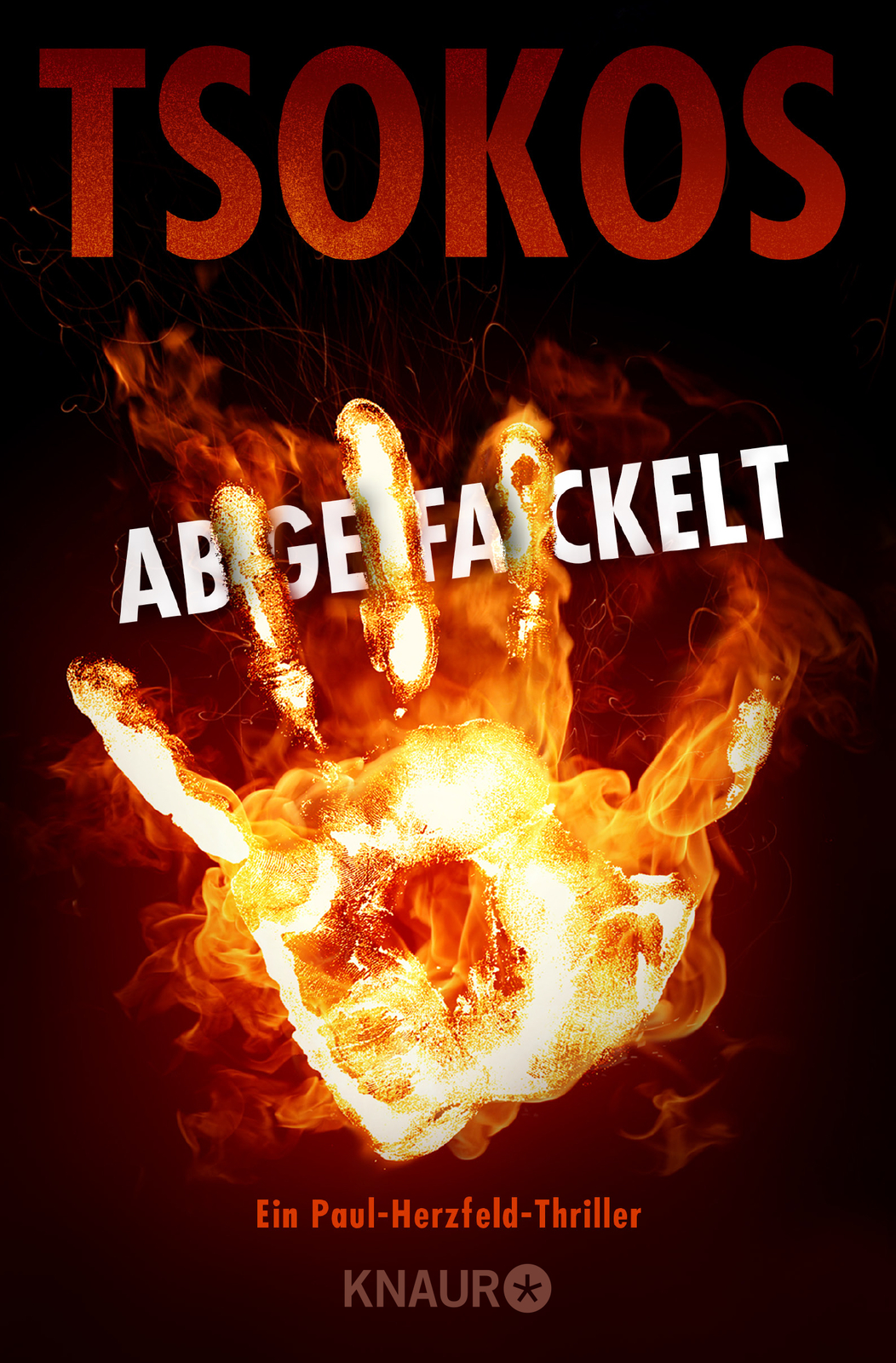 Thumbnail - Michael Tsokos / Abgefackelt