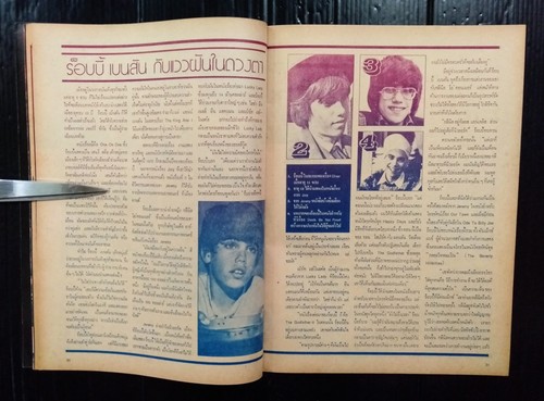 1977 Elvis Presley Donny Osmond Shaun Cassidy Fleetwood Mac Tracy Hyde MEGA RARO - Foto 10 di 23