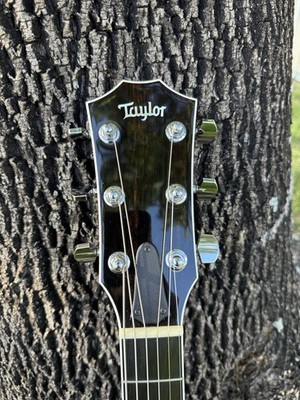 Taylor T5 S1 Quilt Top Honey Burst Hybrid Electric/Acoustic Guitar