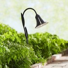 Tulip Low Voltage 27" High LED Landscape Light