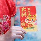 50pcs Chinese New Year Red Envelope 2024 Hong Bao Paper Red Envelopes New Year