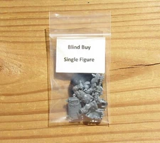 40K Imperial Agents _Exaction Squad Arbite w/ Shotgun Blind Buy Single Figure
