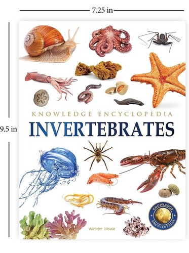 Animals - Collection of 6 Books : Knowledge Encyclopedia For Children (Box Set) - Picture 4 of 5