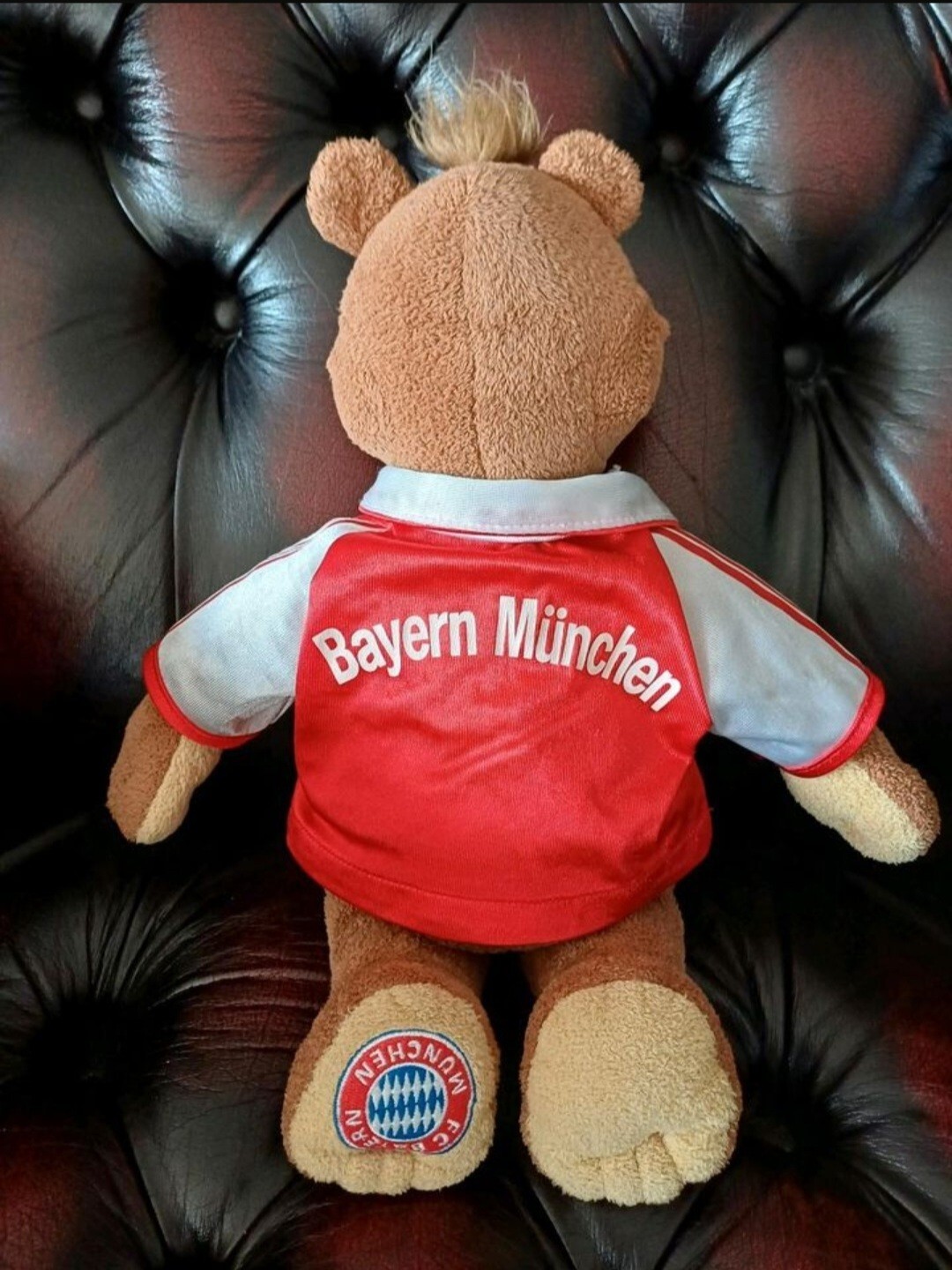 Bild 4 von 6
