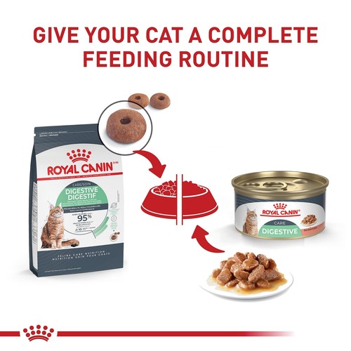 Royal Canin Digestive Care Dry Cat Food, 6 lb bag 6 Pound (Pack of 1) - Picture 8 of 11
