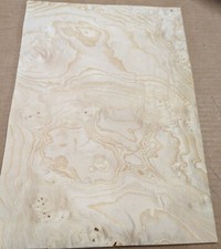 Ash Burl White wood veneer 12" x 17" raw no backing 1/42" thickness A grade