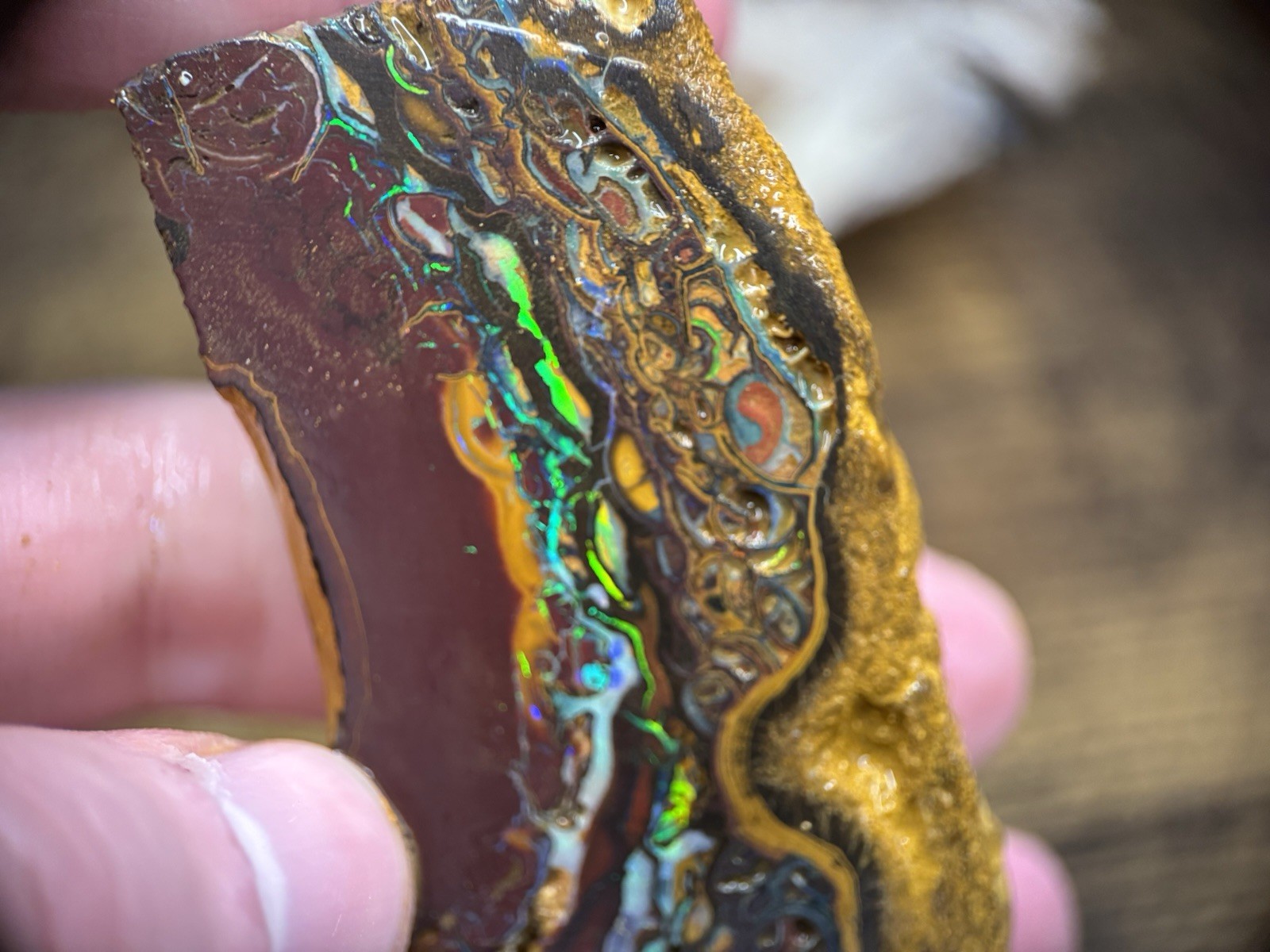 Boulder Opal rub 364,4 ct mit Feuer Boulder Opal rub 364,4 ct mit Feuer