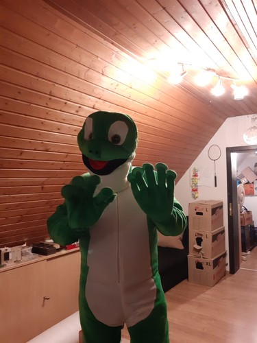 Kostüm Frosch Karnevalskostüm - Bild 3 von 3