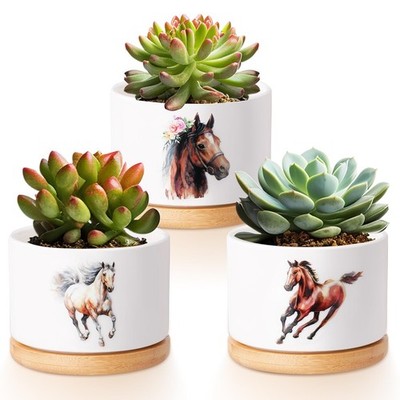 Horse Succulent Planters - 3 Pcs Ceramic Pots with Drainage & Bamboo Tray