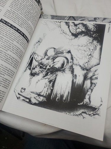 Nephilim Occult Roleplaying Core Rulebook - Chaosium 3100 - Picture 8 of 11