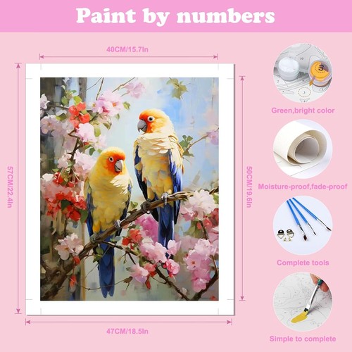 Paint by Numbers Kit DIY Canvas Painting Set for Adults Kids Home Decor Gift - Picture 3 of 7