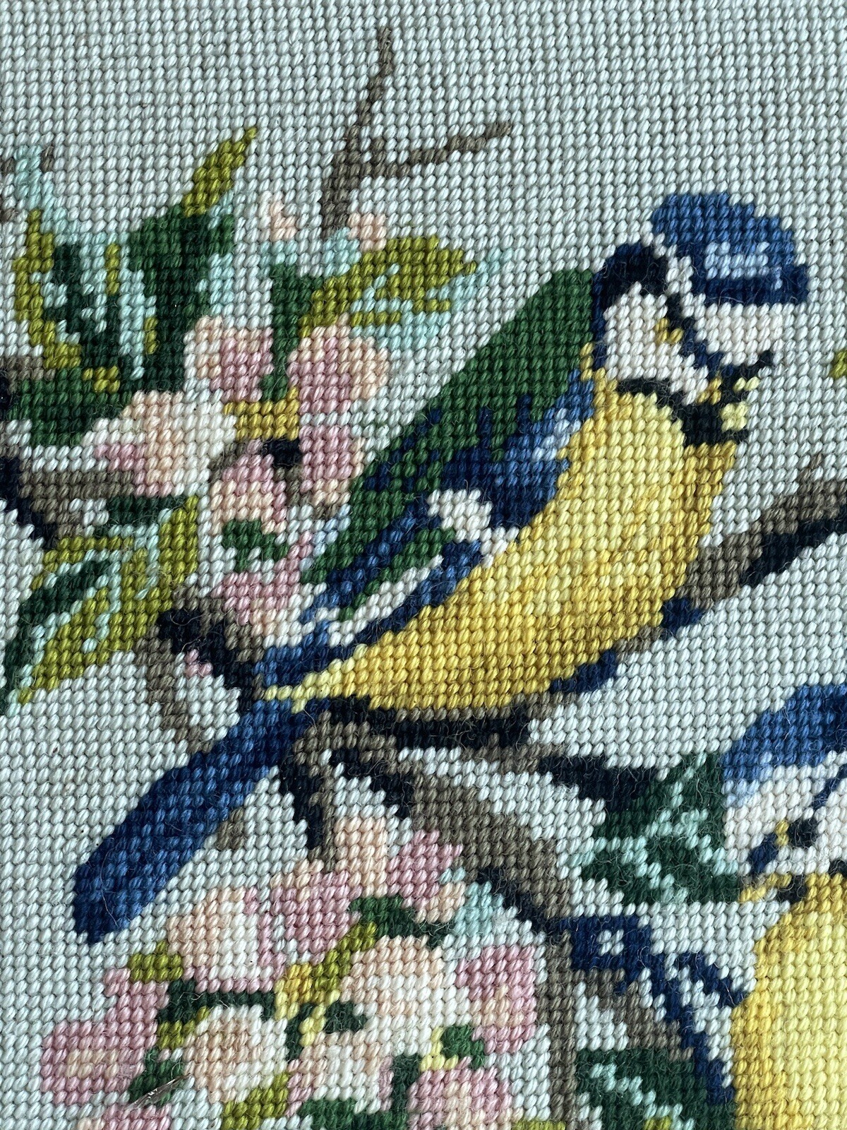 Picture 6 of 10
