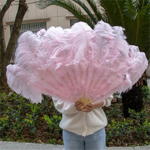 Large Fluffy Feather Fans Performance Dance Stage Show Costume Props LOT - Picture 31 of 40