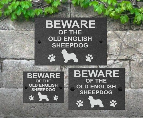 Beware of the Dog Slate Door Gate House Sign 3 Sizes All Breeds available M - Y - Picture 5 of 29