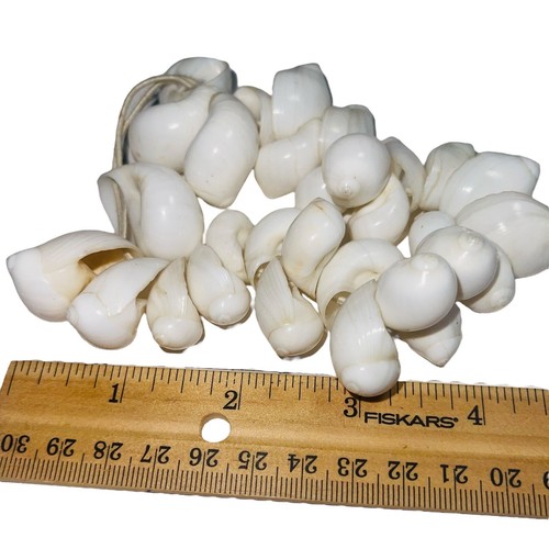Shell Jewelry Lot Craft Repair Supply Bubble Snail Cowrie Seed Bead Beach Mix - Picture 11 of 24