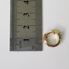 Picture 9 of 10