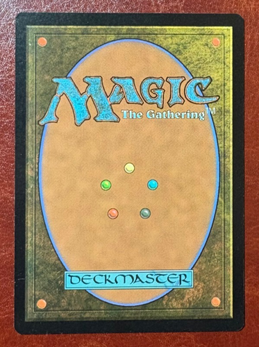 x1 NM BORDERLESS Windswept Heath - 0360 R MH3 - MTG Magic Never Played  - Picture 2 of 2