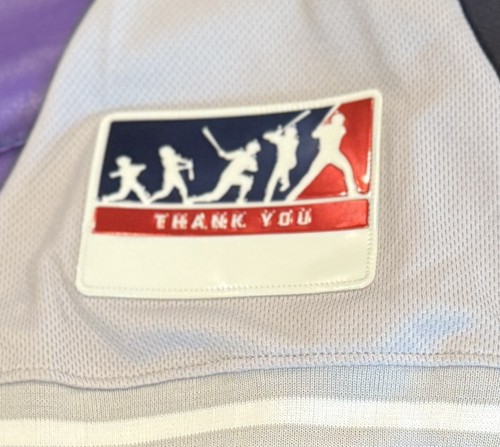 Authentic Luke Voit New York Yankees #45 Player’s Weekend Majestic Trikot 48 Neu mit Etikett - Bild 4 von 8