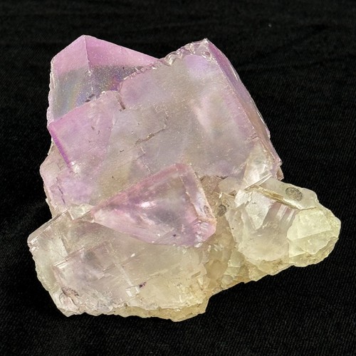 Lila Fluorit Cluster - große Kubikkristalle auf Matrix - Ausstellungspräparat - Bild 11 von 11