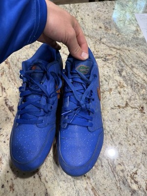 Size 12 Gator nike dunks