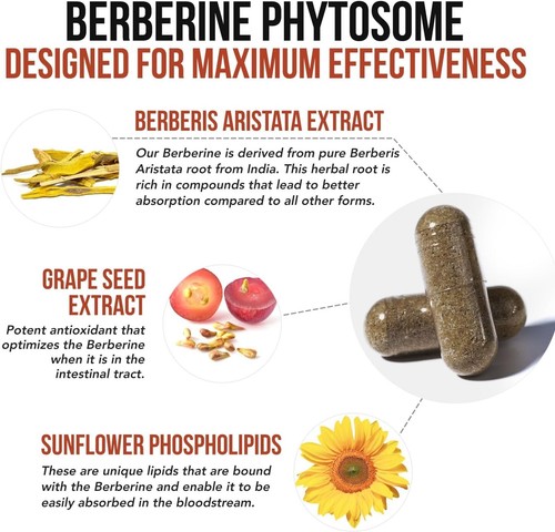 SoActive Berberine 550mg Capsules - No Stomach Discomfort & Long-Term Safety - Picture 6 of 11