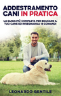 Foto 10 di 12