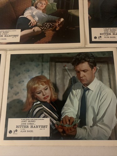 Bitter Harvest 1963 John Stride Janet Munro Original UK Lobby Card set x8 10 x 8 - Foto 7 di 7