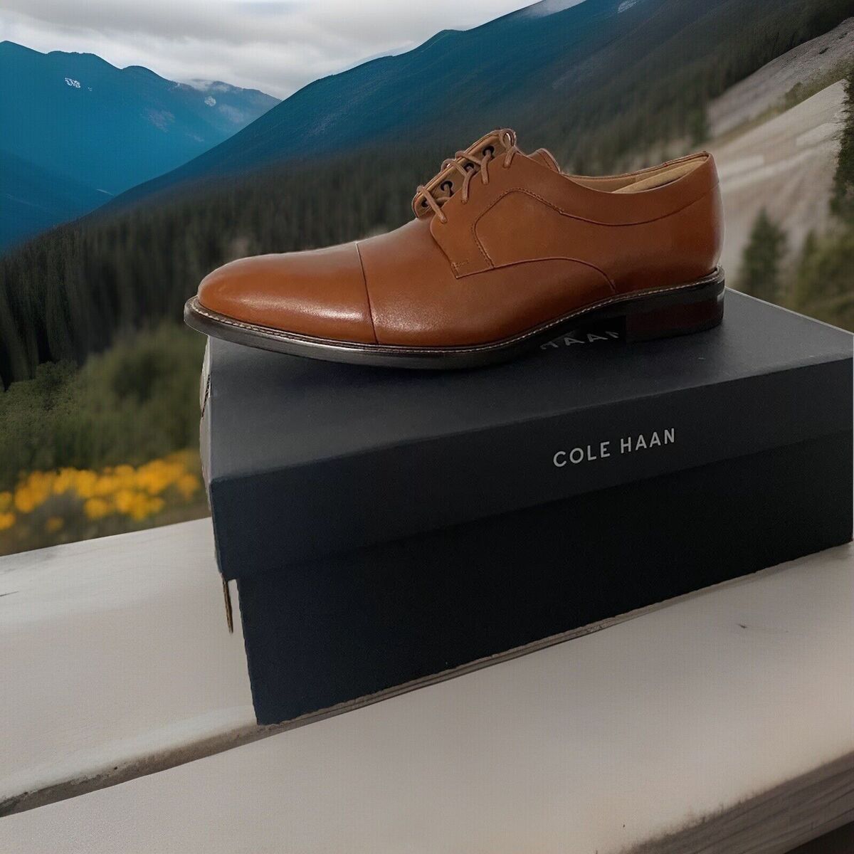 Cole Haan C20153 Mens Warren Cap Toe Oxford British Tan Size 12 M Minty eBay