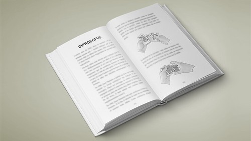 Multitude by Vincent Hedan - Book - Picture 2 of 4