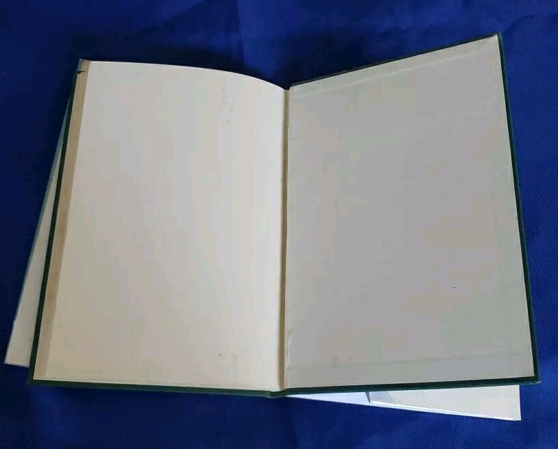 Picture 16 of 17