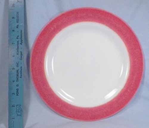 Pyrex Pink Flamingo Dinner Plate Coral Spray Mist Band Corning Vintage Well Used - Picture 1 of 6