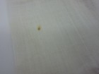 Picture 5 of 5