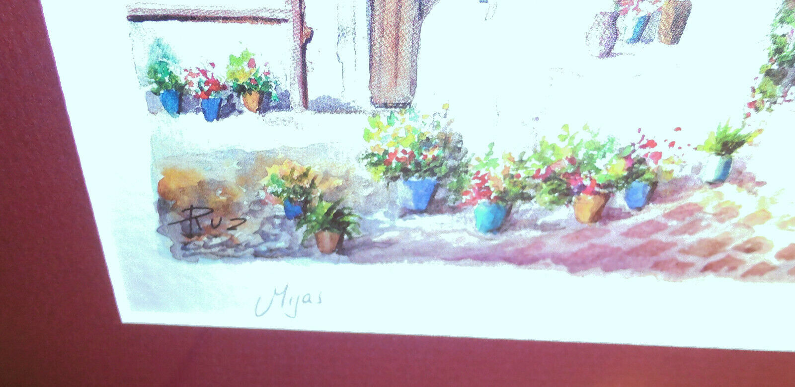 Foto 11 di 12