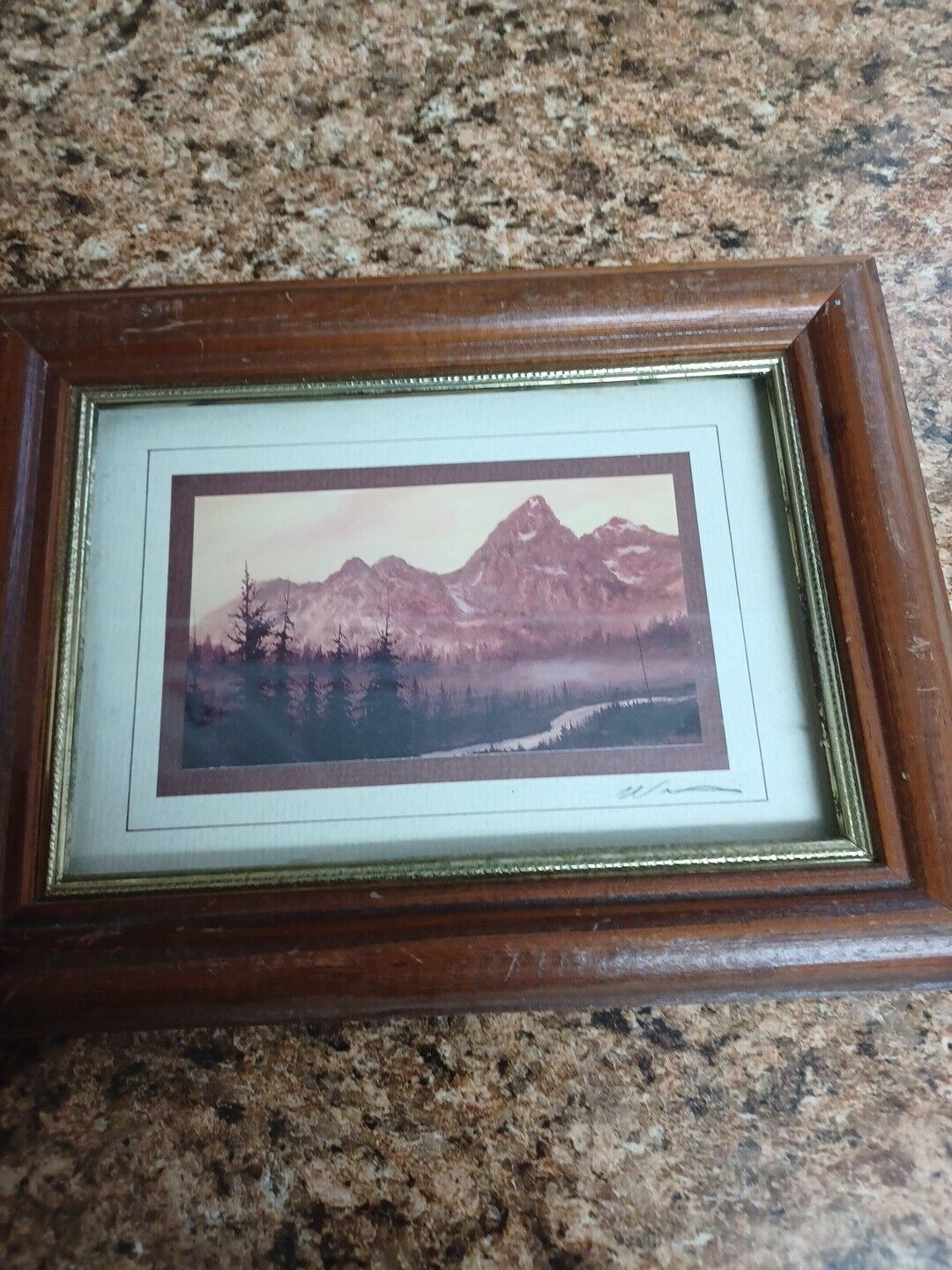 Foto 1 di 5