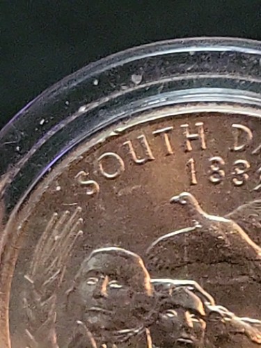US State Quarter Error 2006 P South,Neck Dakota Die Chip ,CHUD, 888 DD, EYES.! - Picture 7 of 8
