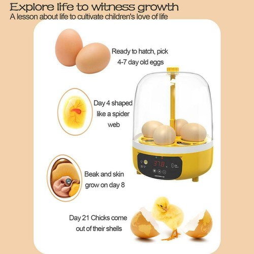 Egg Incubator Automatischer Kükeninkubator LED-Anzeige Für Gänsehuhn 4Eier ~ - Bild 7 von 10