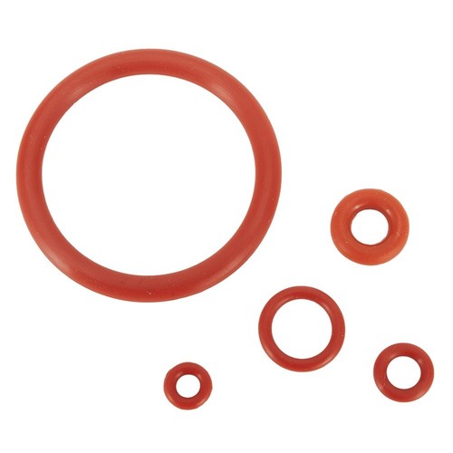 Kit Manutenzione Gruppo Brew con Guarnizione Oring Silicone per Saeco Per Gaggia - Foto 2 di 15