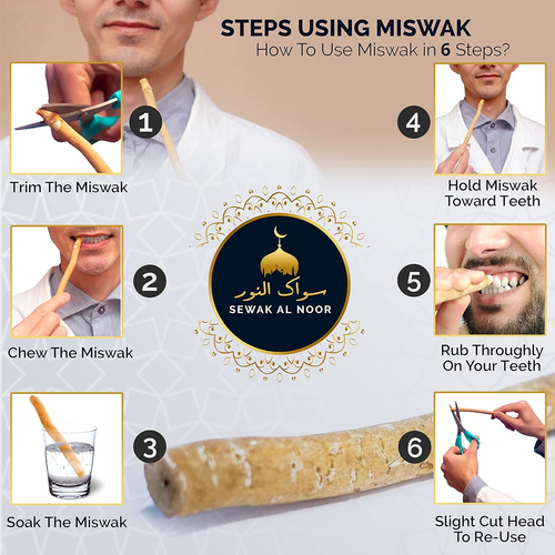 Pack of 10 Miswak Sticks for Teeth with Holder - Vacuum Sealed Natural Flavored - Picture 3 of 12