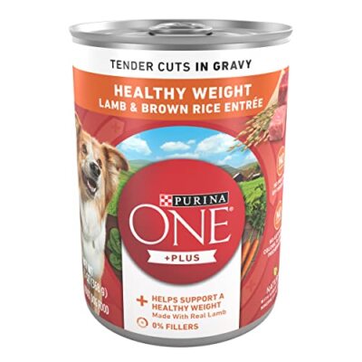 Purina one weight control sale