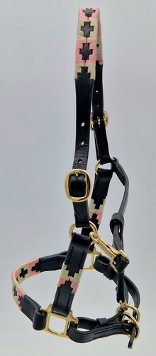Lederhalfter Winny Leder Halfter Polo Minishetty Mini Shetty Minipony Leder TY - Bild 48 von 52