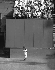 Willie Mays The Catch Giants Hall Of Famer Close Up  8x10 PHOTO PRINT