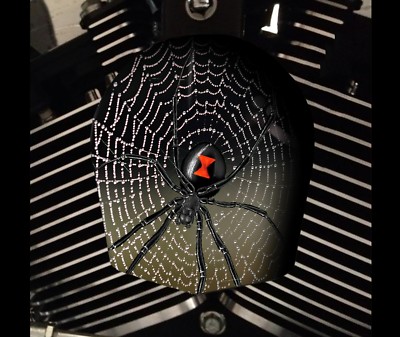 Harley Davidson Custom Horn cover Touring Dyna Softail Sportster M8 SPIDER