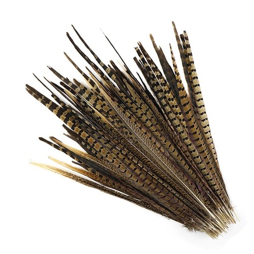 English Ringneck PHEASANT Tail Natural Feathers 10-100 Pcs MANY SIZES 6-28" New! - Picture 6 of 30