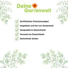 Bild 4 von 7