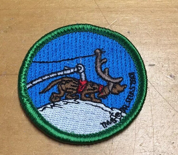 Picture 5 of 12