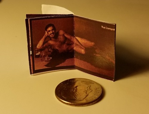 Miniatur Puppenhaus 1" Barbie Maßstab 1/12 Buch PlayGirl Magazin Brad Pitt - Bild 7 von 8