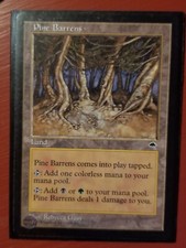 MTG Magic the Gathering Pine Barrens Tempest NM