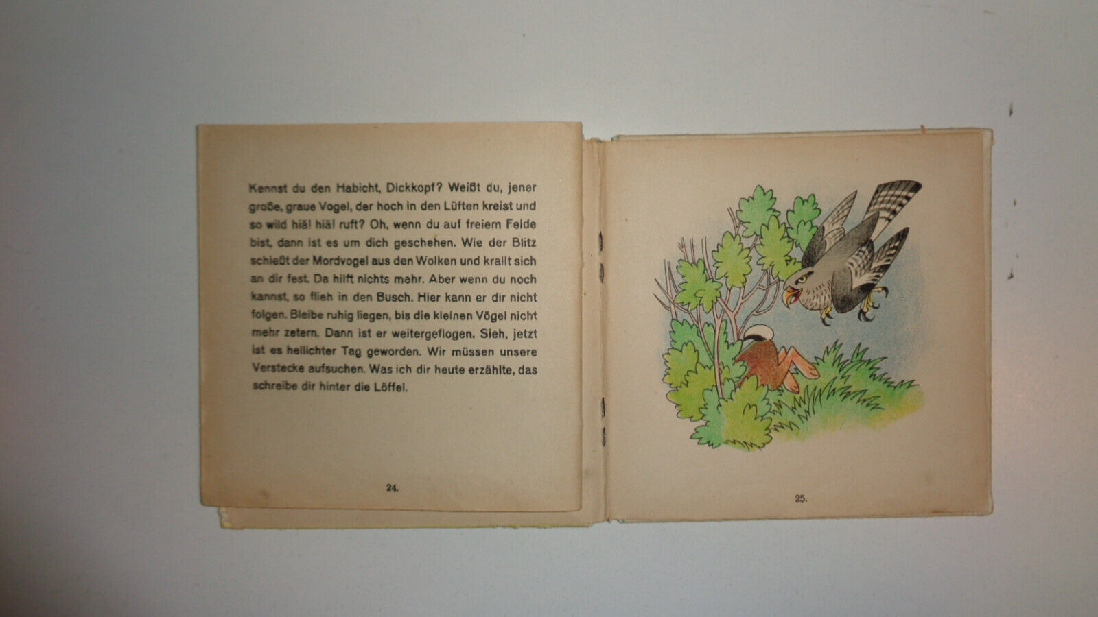 Bild 12 von 12